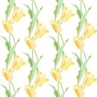Seamless pattern with flowers tulips N5