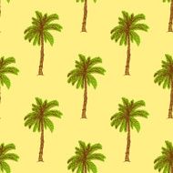 Sketch palm in vintage style