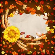 Colorful leaves background EPS 10