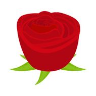 Red rose N4