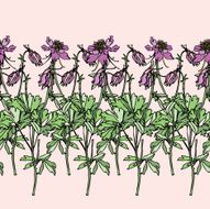 Seamless Pattern with floral ornament N84
