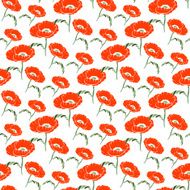 Seamless floral pattern with hand drawn poppy on white background