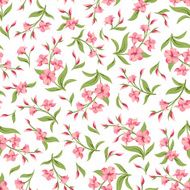 Seamless pattern with pink flowers Vector illustration