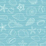 Vector pattern of white sea shells stars stones
