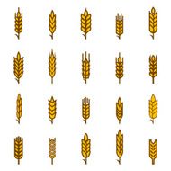 Ears of wheat bread symbols