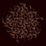 Floral background with golden curly plant N2