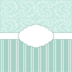 Vintage background greeting card invitation N3