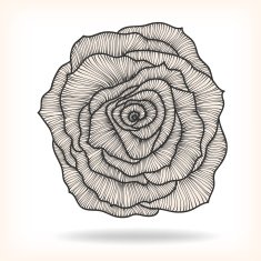 Floral Rose Elements for design N2
