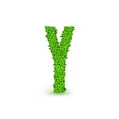 Green Leaves font Y