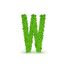 Green Leaves font W