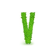 Green Leaves font V