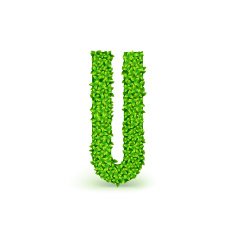 Green Leaves font U