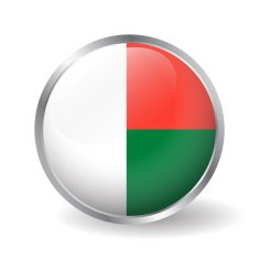 Madagascar flag button vector N2