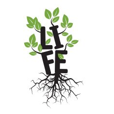Black tree roots and text LIFE