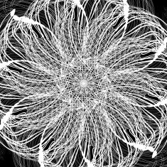 abstract black and white line floral pattern background
