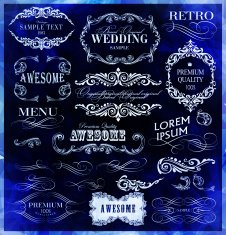 Calligraphic Design Elements N70