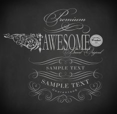 Chalk typography calligraphic design elements N7