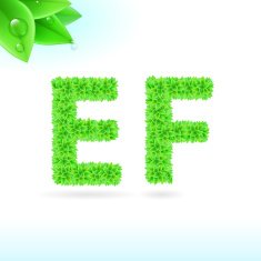 Sans serif font with green leaf decoration N9