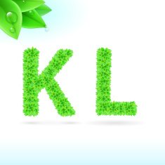 Sans serif font with green leaf decoration N11