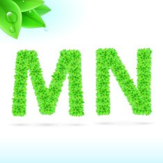 Sans serif font with green leaf decoration N12
