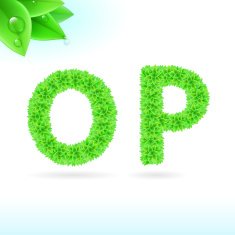 Sans serif font with green leaf decoration N13