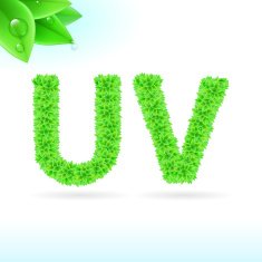 Sans serif font with green leaf decoration N16