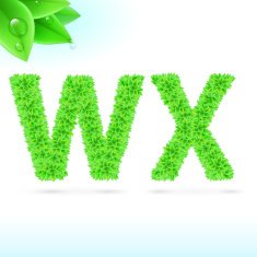 Sans serif font with green leaf decoration N17