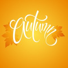 AUTUMN Hand drawn season quote Vector illustration