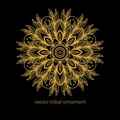Mandala Ethnic decorative elements Vector illustration N8