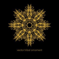 Mandala Ethnic decorative elements Vector illustration N10