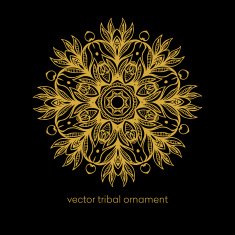 Mandala Ethnic decorative elements Vector illustration N11