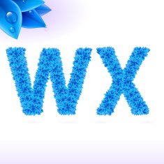 Sans serif font with blue leaf decoration N5