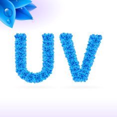 Sans serif font with blue leaf decoration N6