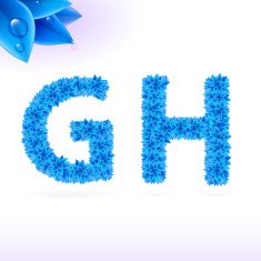 Sans serif font with blue leaf decoration N10