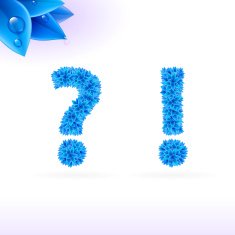 Sans serif font with blue leaf decoration N14