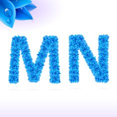 Sans serif font with blue leaf decoration N17