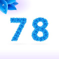 Sans serif font with blue leaf decoration N19