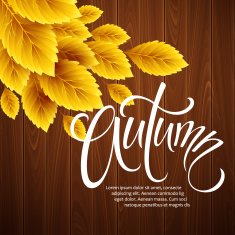 Autumn background with leaf and wood texture Vector illustration N3