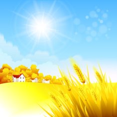 Autumn rural landscape Vector illustration N2