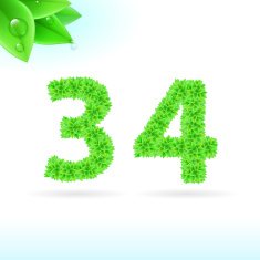 Sans serif font with green leaf decoration N19