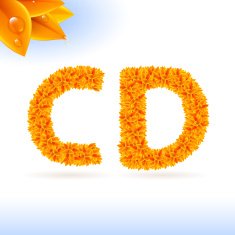 Sans serif font with fall leaf decoration N2