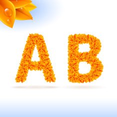 Sans serif font with fall leaf decoration N3