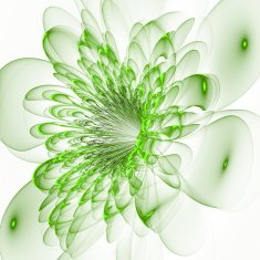 Beautiful green flower on white background Computer generated g