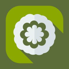 Flat modern design with shadow icon flower N9