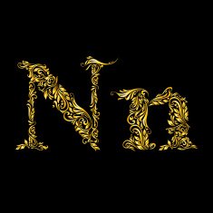 Decorated letter 'n'