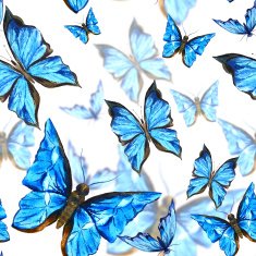 Beautiful blue summer watercolor butterflies on a white background seamless N2