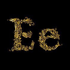 Decorated letter 'e' in upper and lower case