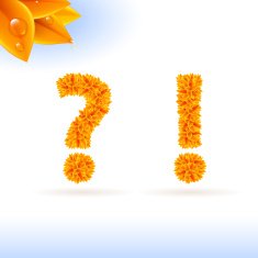 Sans serif font with fall leaf decoration N4