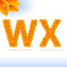 Sans serif font with fall leaf decoration N9