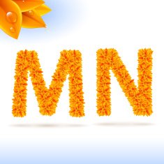 Sans serif font with fall leaf decoration N11